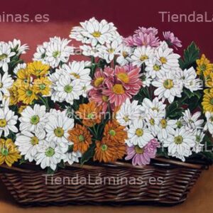 LÁMINA:F4-1415.1  40X70