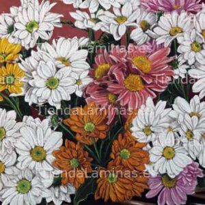 LÁMINA:F4-1416  40X70