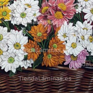 LÁMINA:F4-1417  40X70