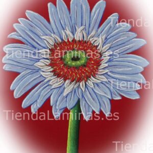 LÁMINA:F4-1418  30X40