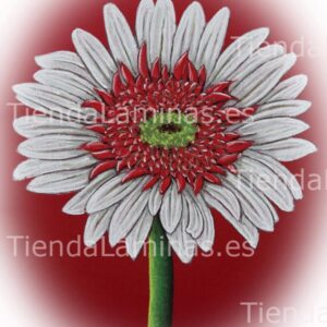 LÁMINA:F4-1419.1  24X30