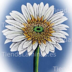 LÁMINA:F4-1422.1  24X30