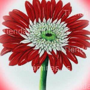 LÁMINA:F4-1428  30X40