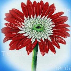 LÁMINA:F4-1430.1  24X30