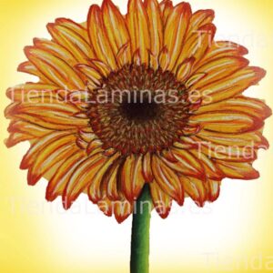 LÁMINA:F4-1433.1  24X30