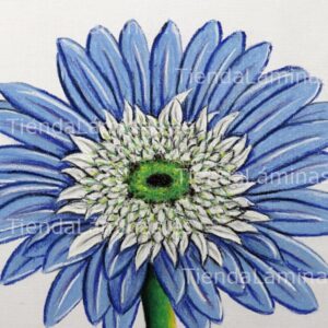 LÁMINA:F4-1434  60X60