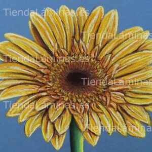 LÁMINA:F4-1438  60X60