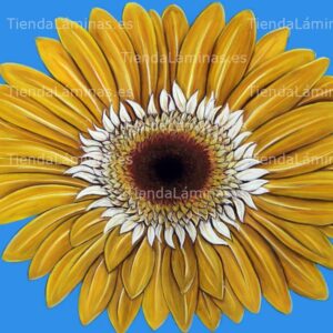 LÁMINA:F4-1444  60X60