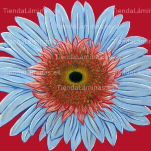 LÁMINA:F4-1447  60X60