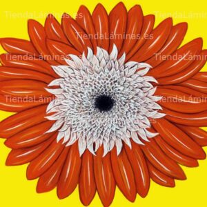 LÁMINA:F4-1450  60X60