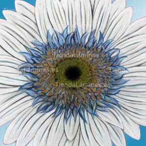 LÁMINA:F4-1454  60X60