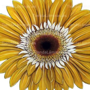 LÁMINA:F4-1459  60X60