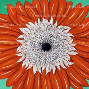 LÁMINA:F4-1460  60X60