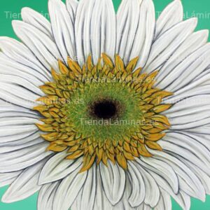 LÁMINA:F4-1462  60X60