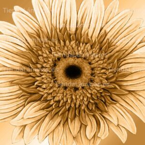 LÁMINA:F4-1466  60X60