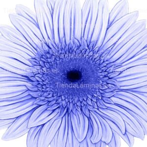 LÁMINA:F4-1467  60X60