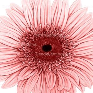 LÁMINA:F4-1468  60X60