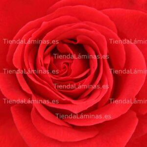 LÁMINA:F4-1472  60X60