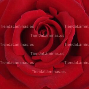 LÁMINA:F4-1473  60X60