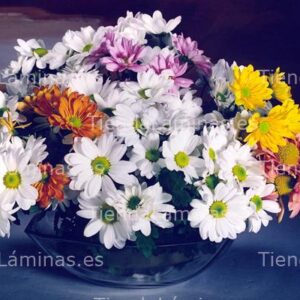 LÁMINA:F4-1478  40X60