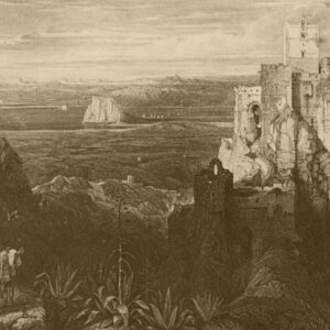 LÁMINA:CL-V626SE  34X49