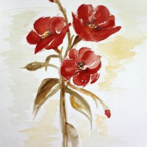 LÁMINA REF: F1-B047