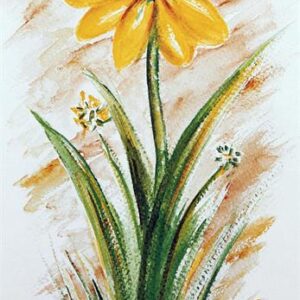 LÁMINA REF: F1-C050