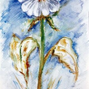 LÁMINA REF: F1-C051