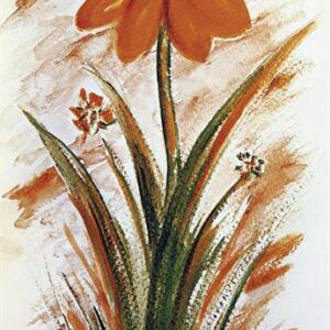 LÁMINA REF: F1-C540