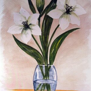 LÁMINA REF: F1-D548