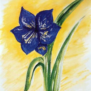 LÁMINA REF: F1-F062