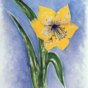 LÁMINA REF: F1-F542