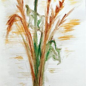 LÁMINA REF: F1-J066