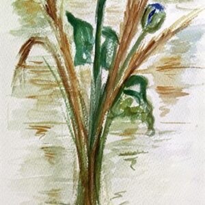 LÁMINA REF: F1-J528