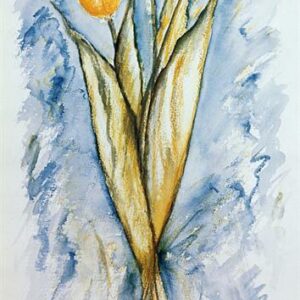 LÁMINA REF: F1-L068