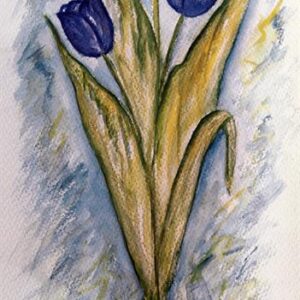 LÁMINA REF: F1-L529