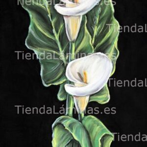 LÁMINA REF: F1-534.1