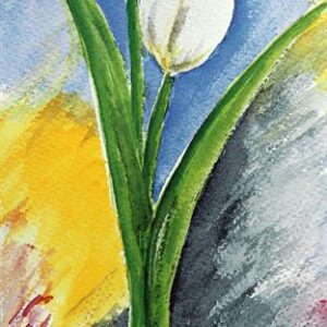 LÁMINA REF: F1-538A