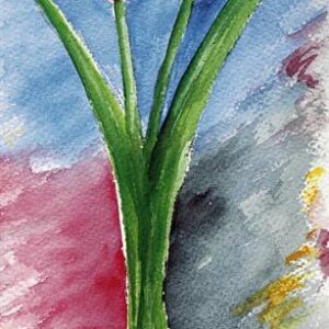 LÁMINA REF: F1-538C