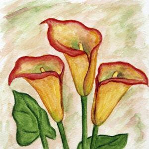 FL3-1105 20X20-40X40 CM