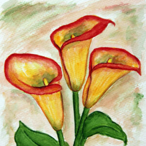 FL3-1106 20X20-40X40 CM