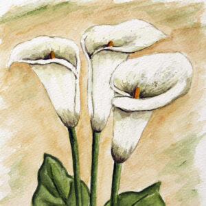 FL3-1109 20X20-40X40 CM