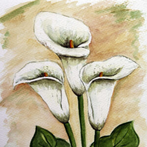 FL3-1110 20X20-40X40 CM