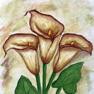 FL3-1111 20X20-40X40 CM