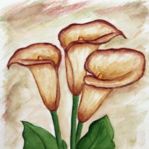 FL3-1112 20X20-40X40 CM