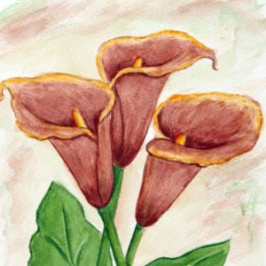 FL3-1113 20X20-40X40 CM