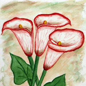 FL3-1126 20X20-40X40 CM