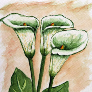 FL3-1130 20X20-40X40 CM