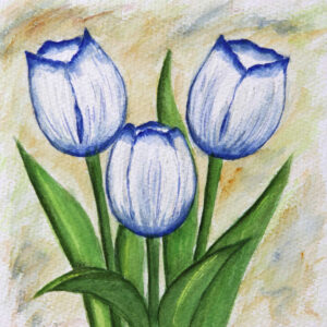 FL3-1137 20X20-40X40 CM