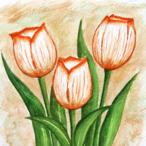 FL3-1142 20X20-40X40 CM